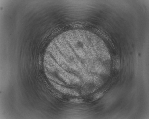 X0000085040561200703261315