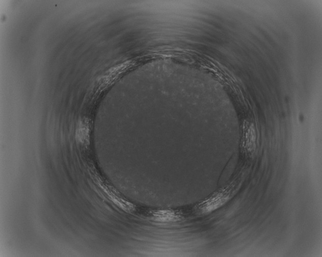 X0000085040562200703261315