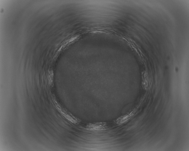 X0000085040563200703261315