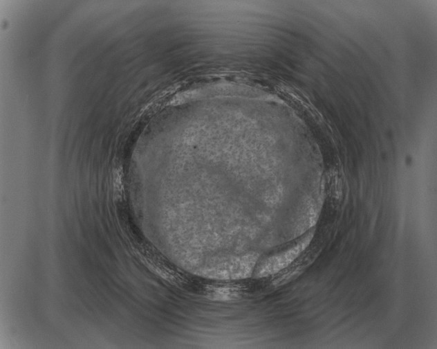 X0000085040564200703261315