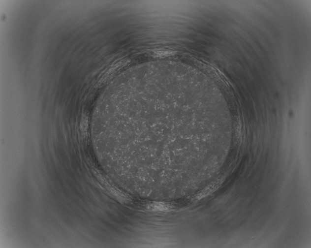 X0000085040565200703261315