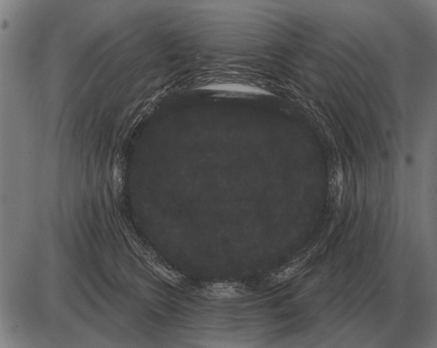 X0000085040566200703261315