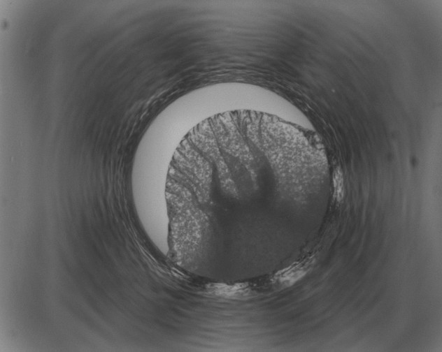 X0000085040570200703261315