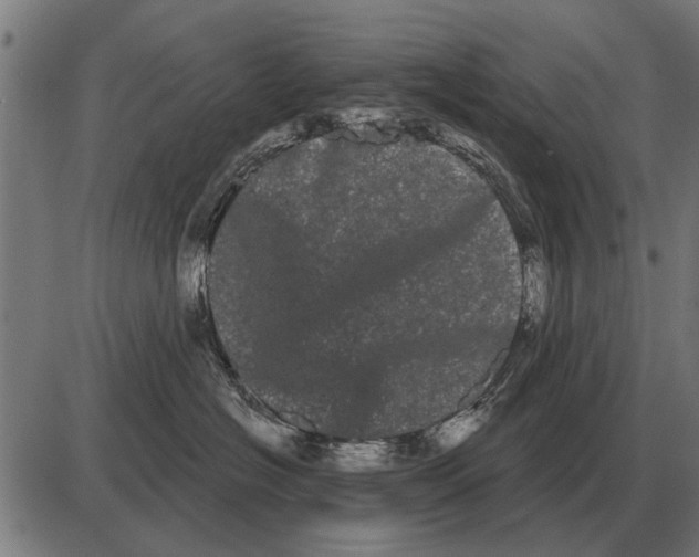 X0000085040574200703261315