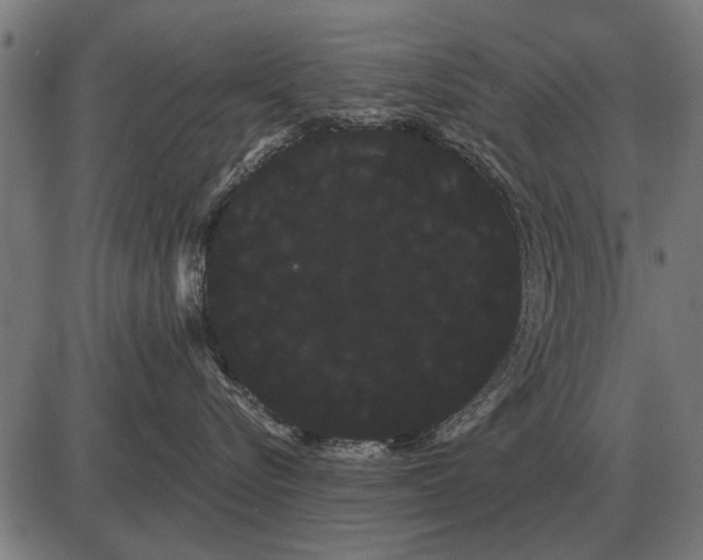 X0000085040576200703261315