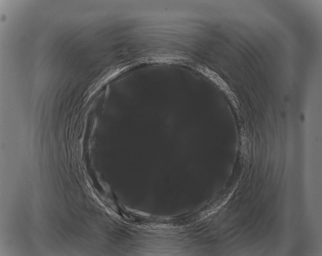 X0000085040577200703261314