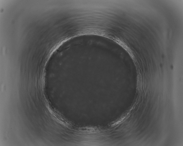 X0000085040580200703261314