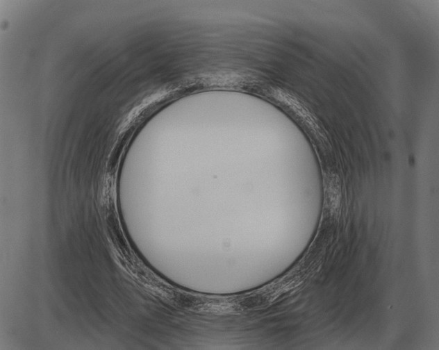 X0000085040583200703261314