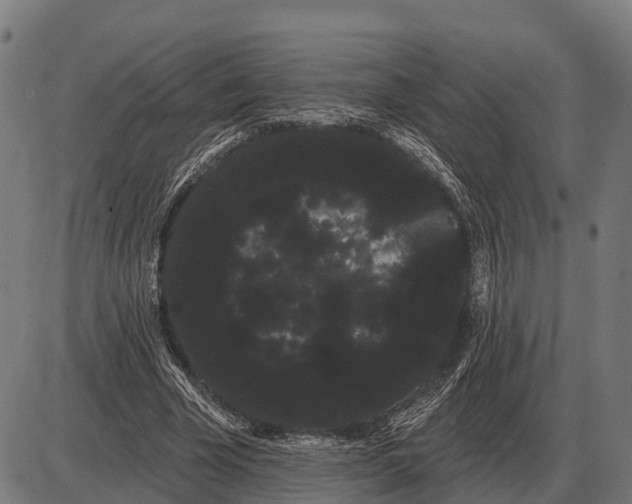 X0000085040585200703261314
