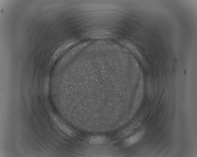 X0000085040586200703261314