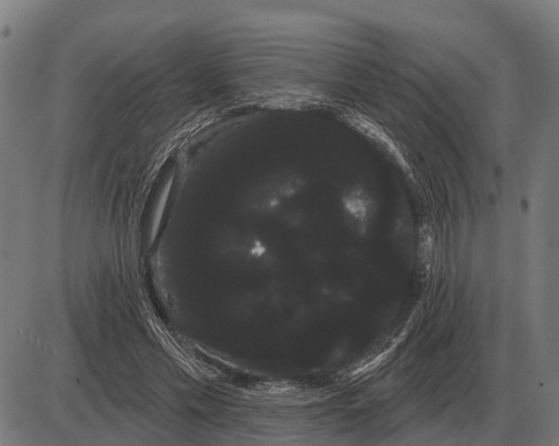 X0000085040589200703261314