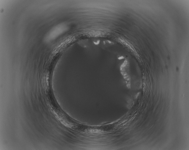 X0000085040590200703261314