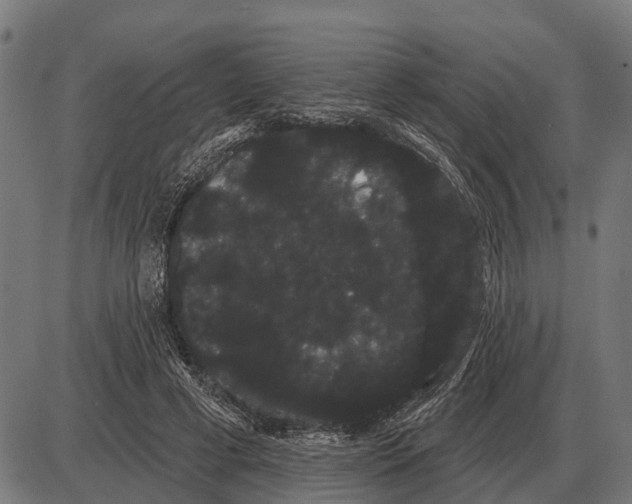 X0000085040593200703261314