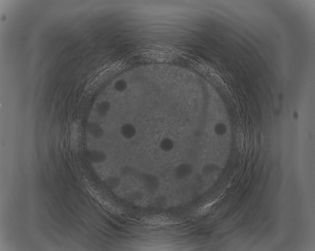 X0000085040594200703261314