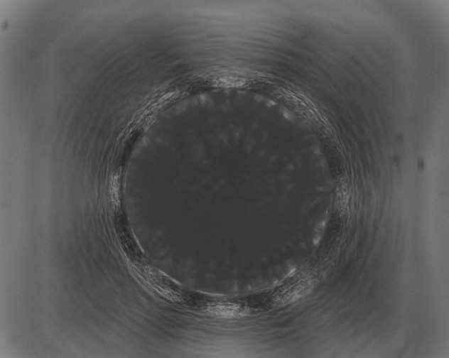 X0000085040598200703261314
