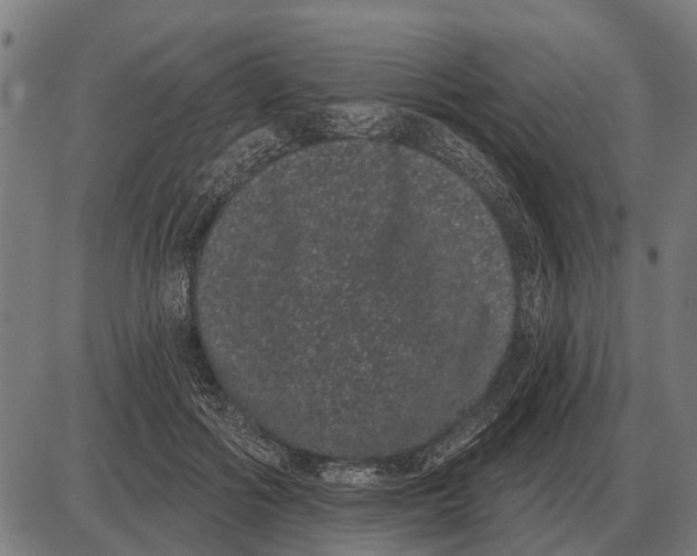 X0000085040602200703261314