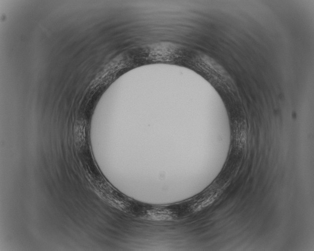 X0000085040603200703261314
