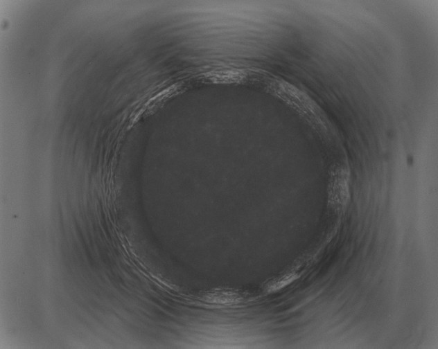 X0000085040604200703261314