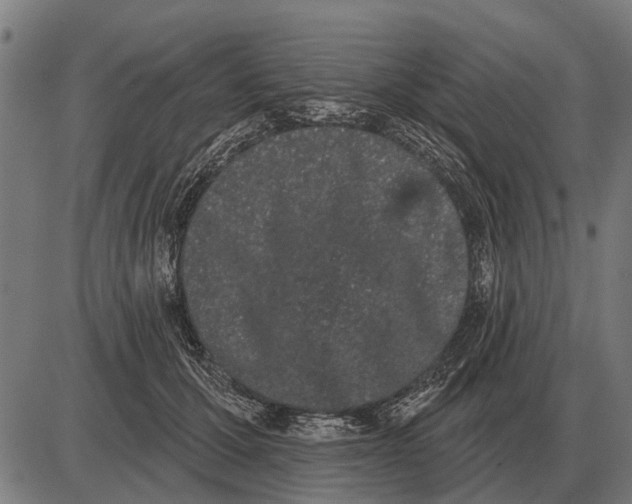 X0000085040607200703261314