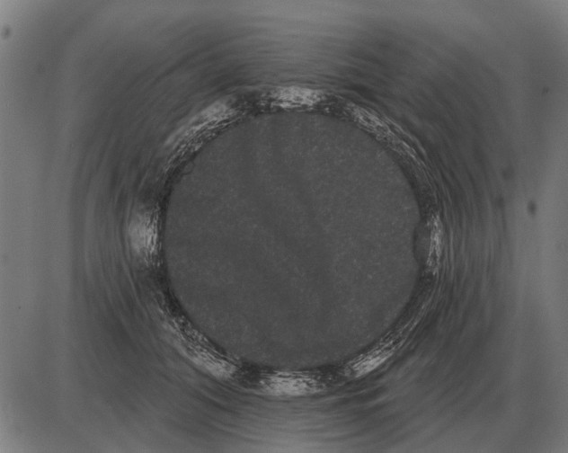 X0000085040608200703261314