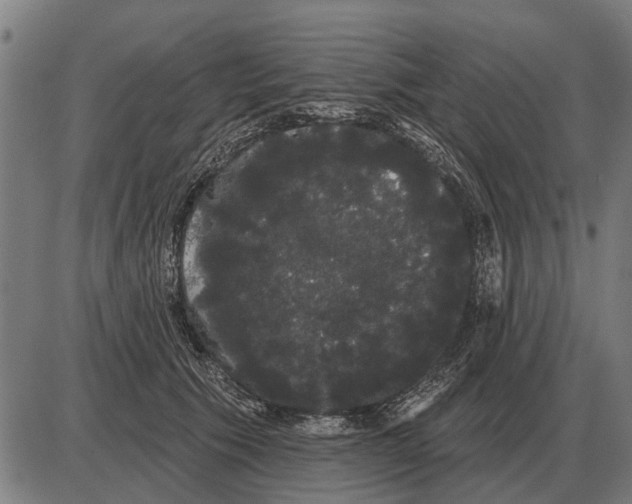 X0000085040609200703261314