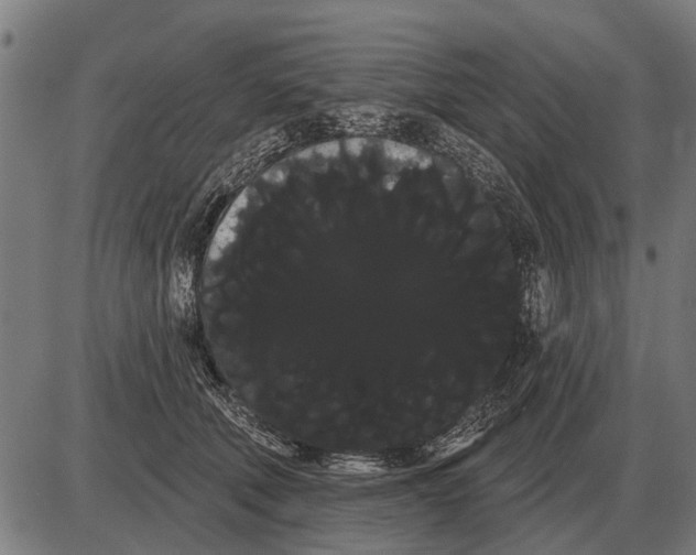 X0000085040610200703261314