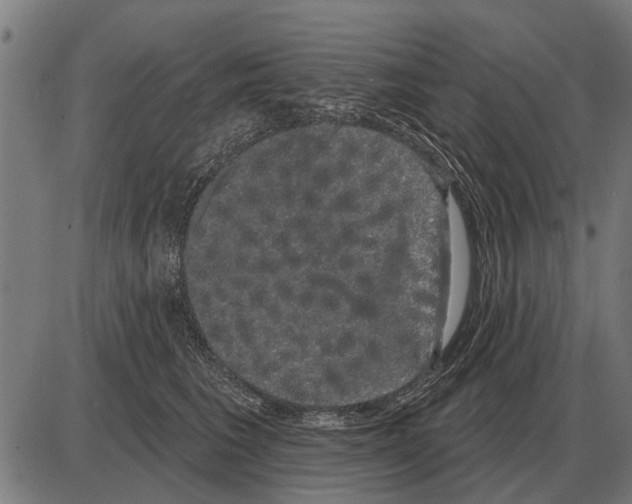X0000085040613200703261314