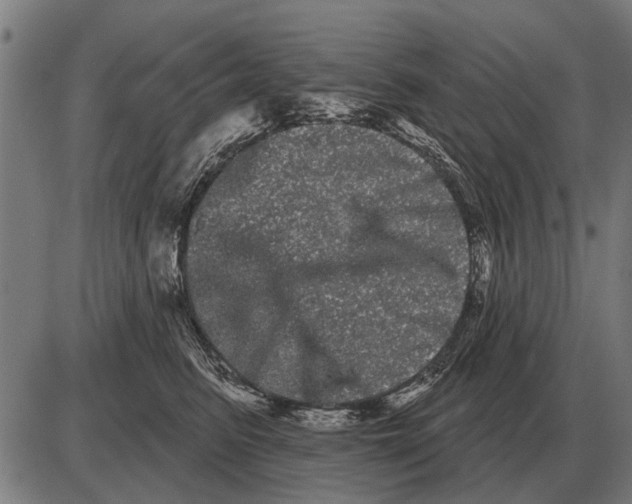 X0000085040615200703261314