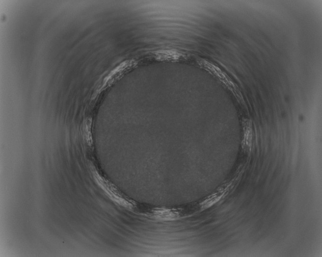 X0000085040616200703261313