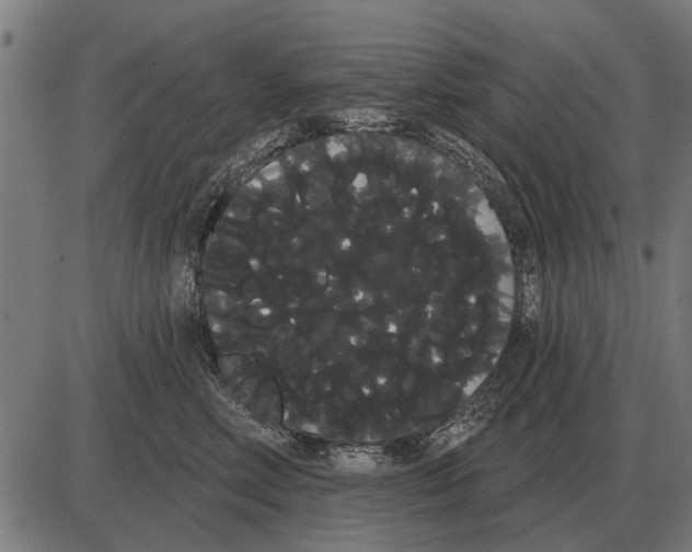 X0000085040618200703261313