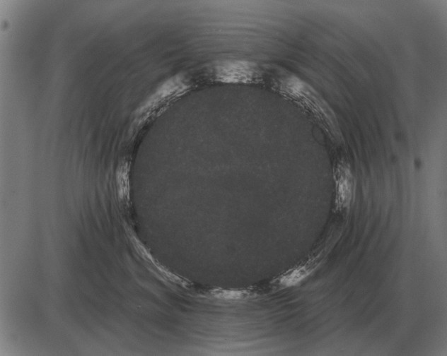 X0000085040620200703261313