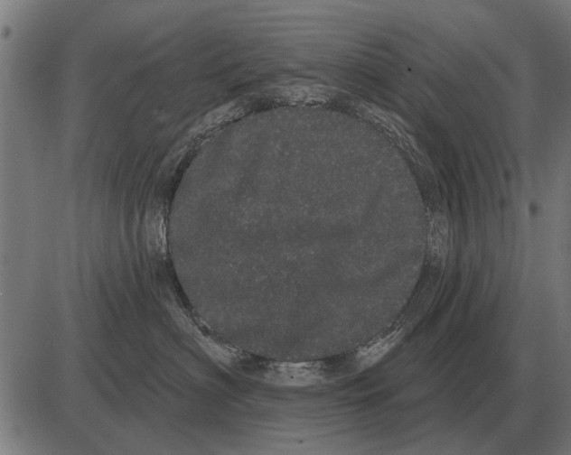 X0000085040622200703261313