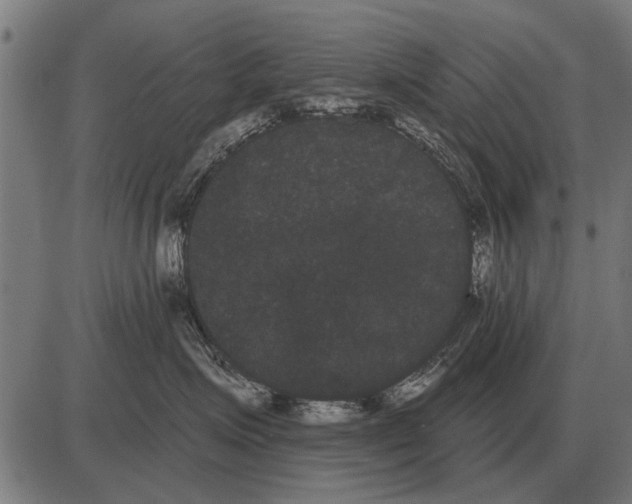 X0000085040623200703261313
