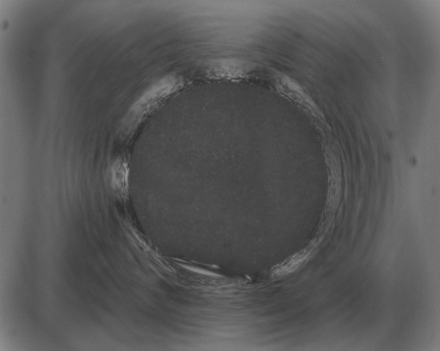 X0000085040624200703261313