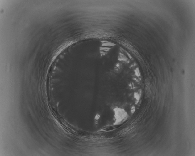 X0000085040626200703261313