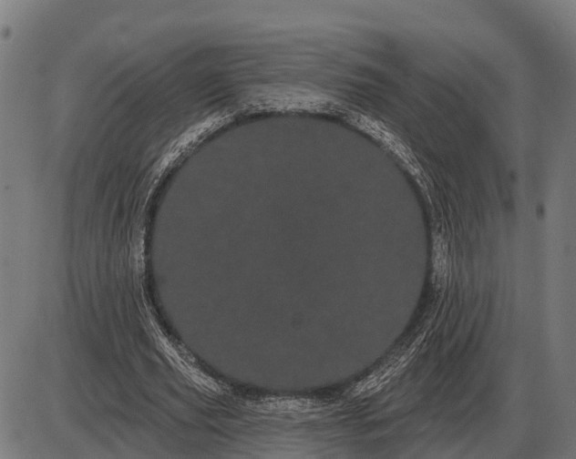 X0000085040629200703261313