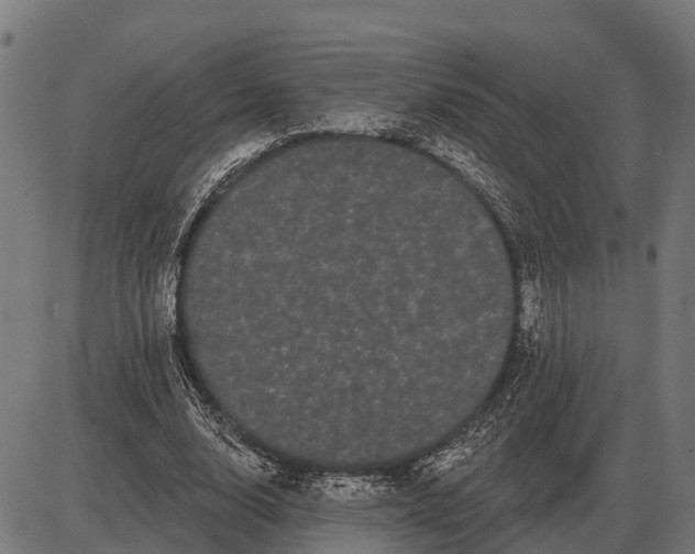 X0000085040632200703261313