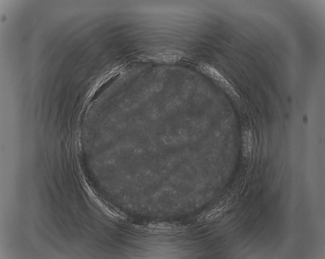 X0000085040634200703261313