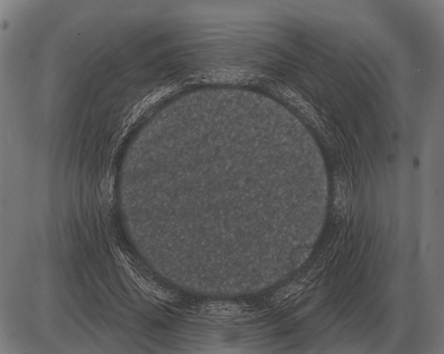 X0000085040636200703261313