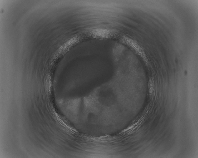 X0000085040637200703261313