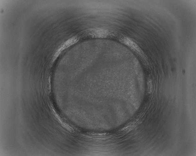 X0000085040638200703261313