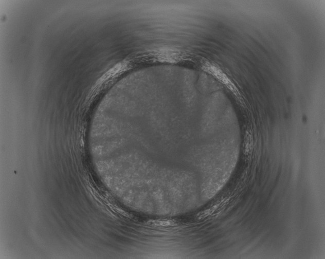 X0000085040639200703261313