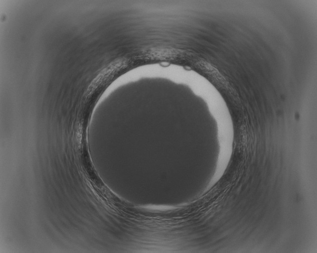 X0000085040640200703261313
