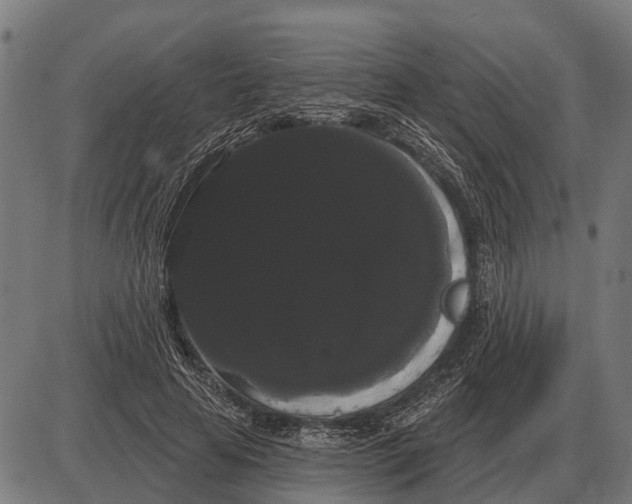 X0000085040641200703261313