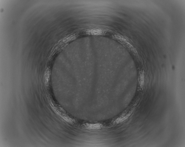 X0000085040645200703261313