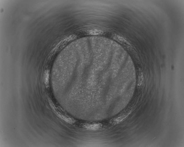 X0000085040646200703261313