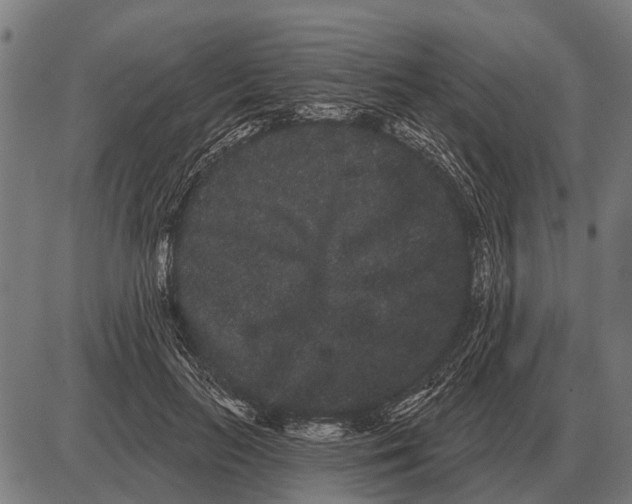 X0000085040647200703261313