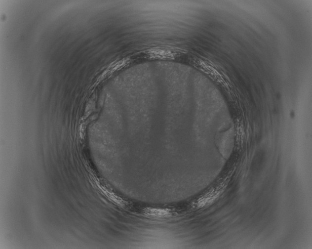 X0000085040649200703261313