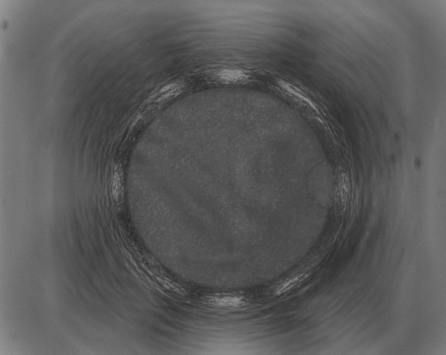 X0000085040651200703261313