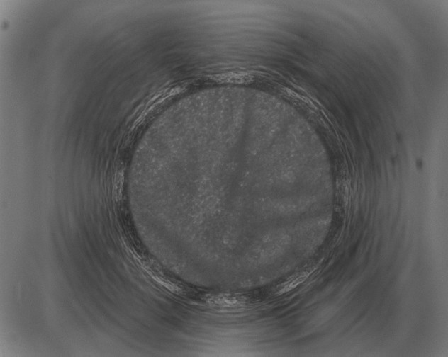 X0000085040652200703261313